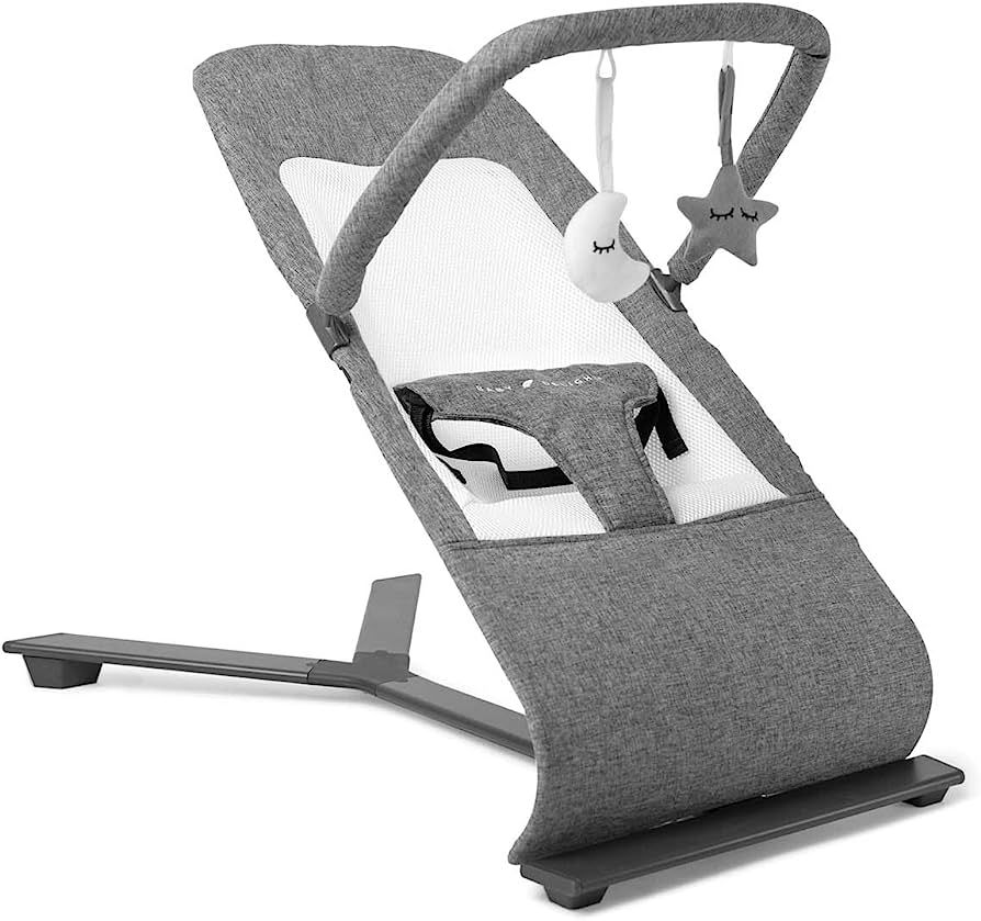 Baby Delight Alpine Deluxe Portable Bouncer | Infant | 0 – 6 months | Charcoal Tweed | Amazon (US)