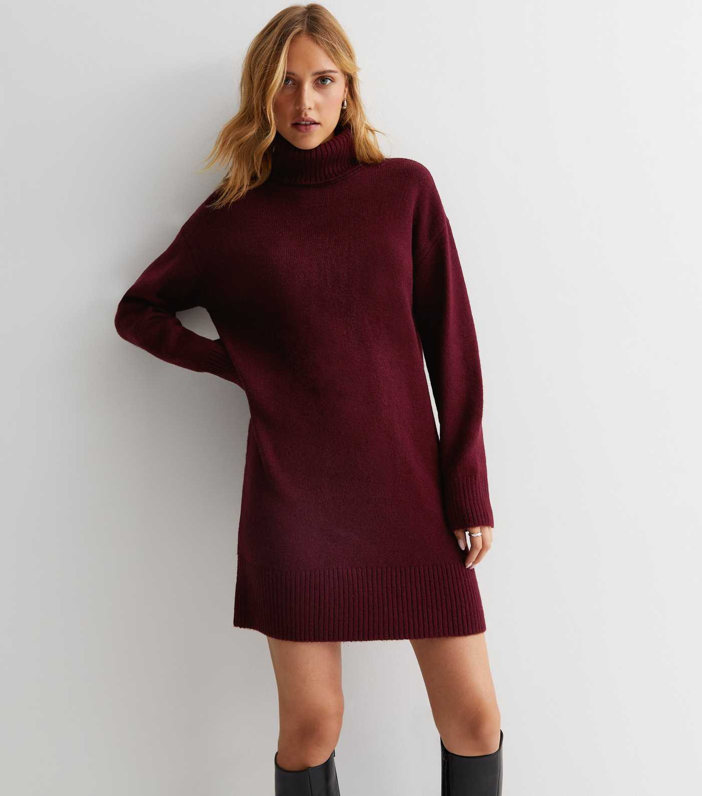 Burgundy Knit Roll Neck Long Sleeve Mini Dress
						
						Add to Saved Items
						Remove from ... | New Look (UK)