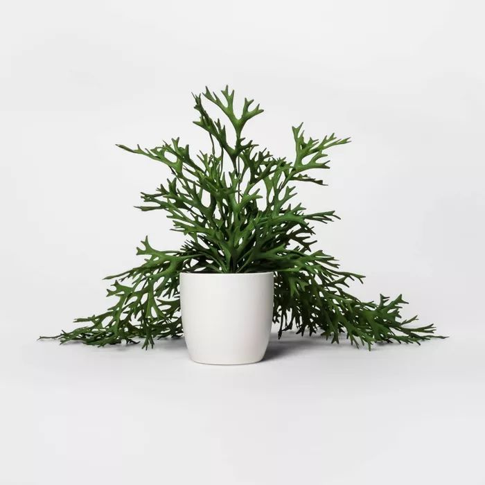 18" x 5.5" Artificial Potted Trailing Fern Green - Threshold™ | Target