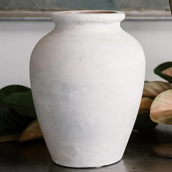 CG Hunter Terracotta Cream Vase with Handles, 10.6-in Vintage Decor Vase & Table Decor in Entrywa... | Amazon (US)