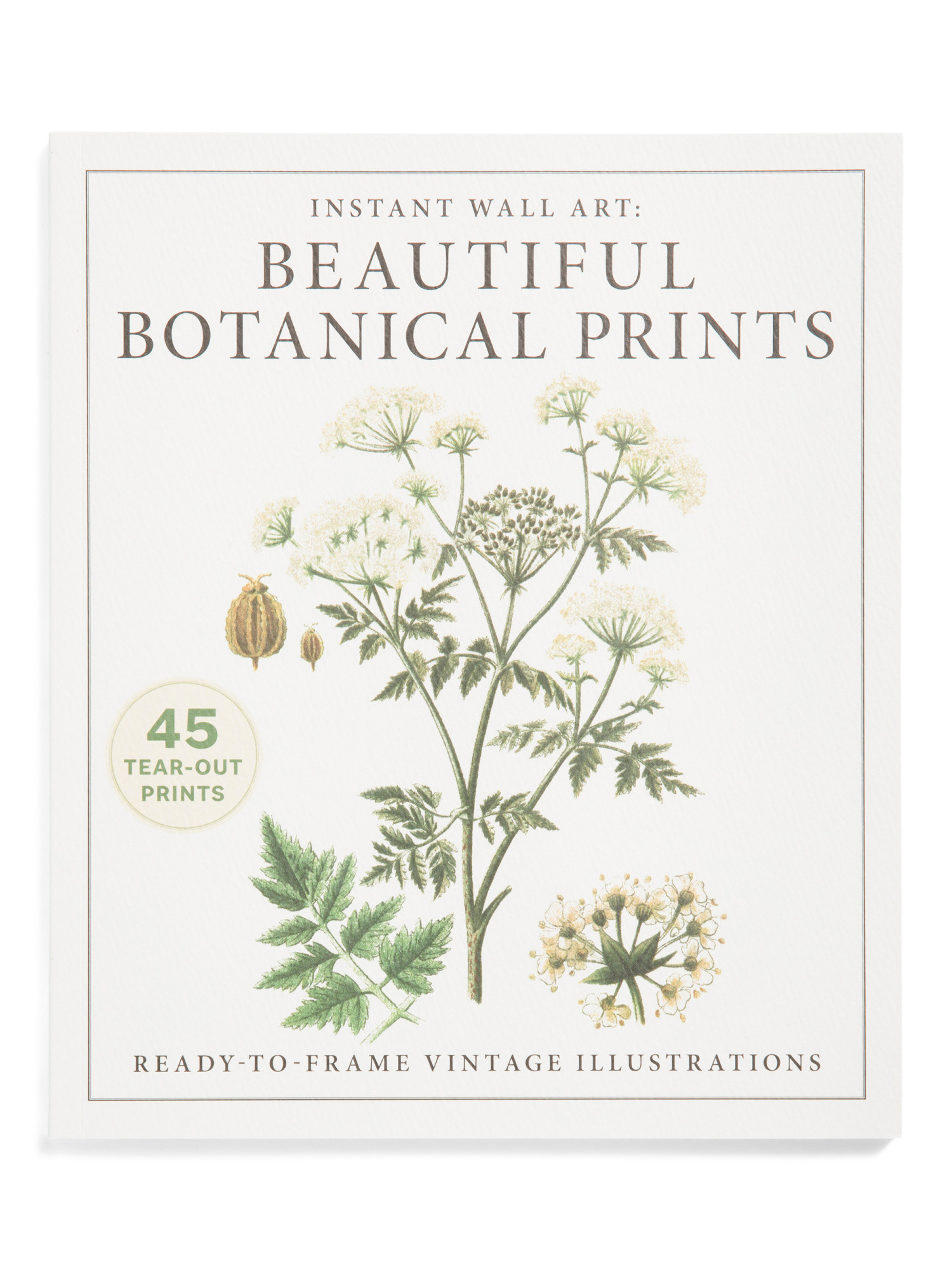 Instant Wall Art Beautiful Botanical Prints Book | Pillows & Decor | Marshalls | Marshalls