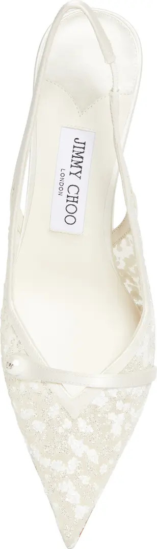 Amita Pointed Toe Slingback Pump (Women) | Nordstrom