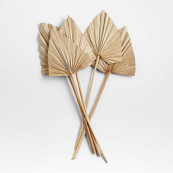 Dried Palm Leaves, Set of 5 | Crate & Barrel