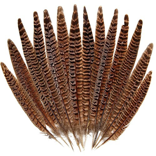 20pcs Female Pheasant Feather Natural Ringneck Tails Feathers 8-10inch 20-25cm for Crafts Home Wedding Party Performance DIY Decoration Pheasant Feather,Female Pheasant Feathers | Amazon (US)