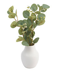 Eucalyptus In Organic Vase | Marshalls