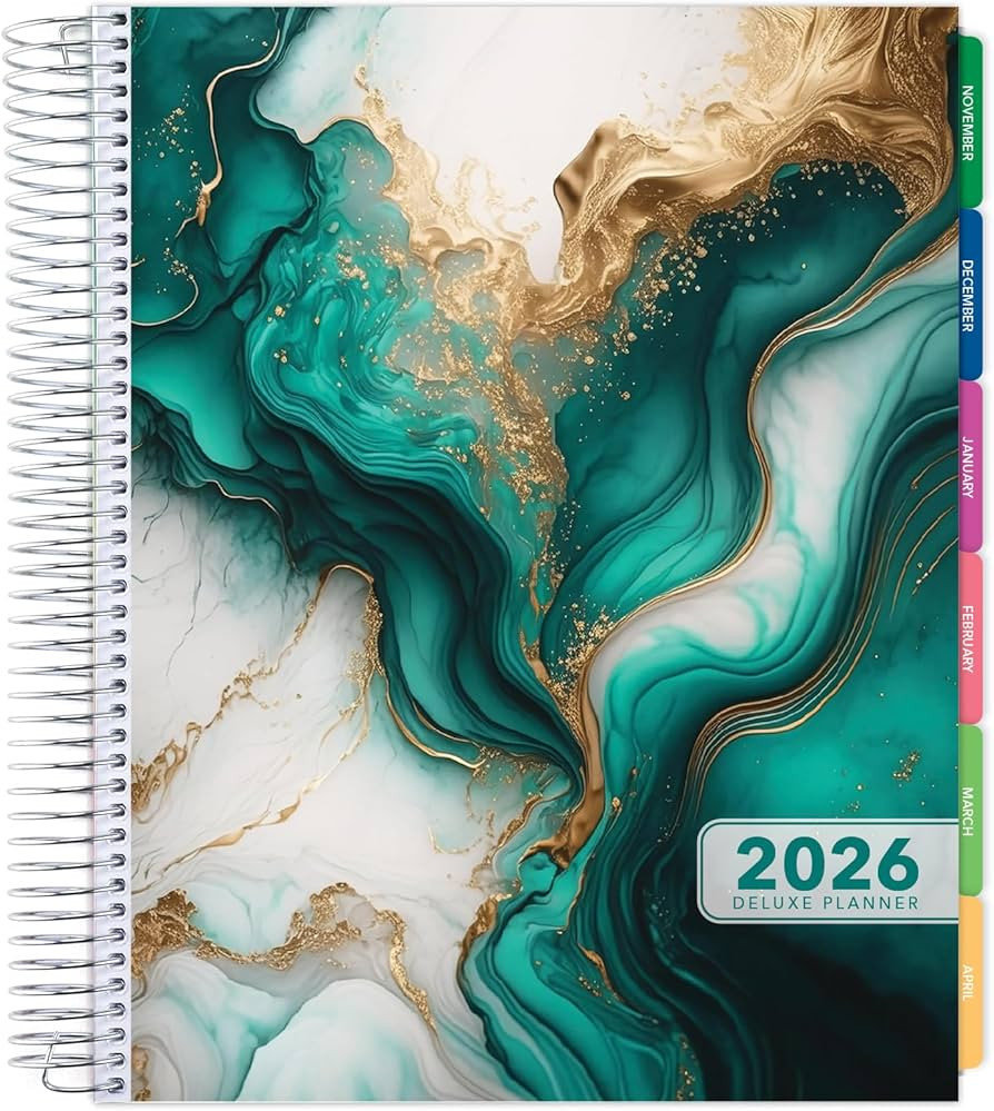 DELUXE 2026 Planner, 8.5"x11": 14 Months (November 2025 - December 2026), Includes Page Tabs, Boo... | Amazon (US)
