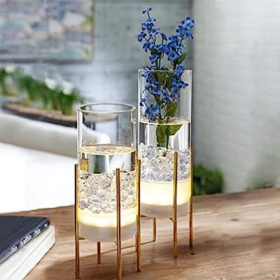 MJ PREMIER Flower Vase for Decor, Glass Table Vase Set, Clear Vase with Gold Stand, Modern Decora... | Amazon (US)