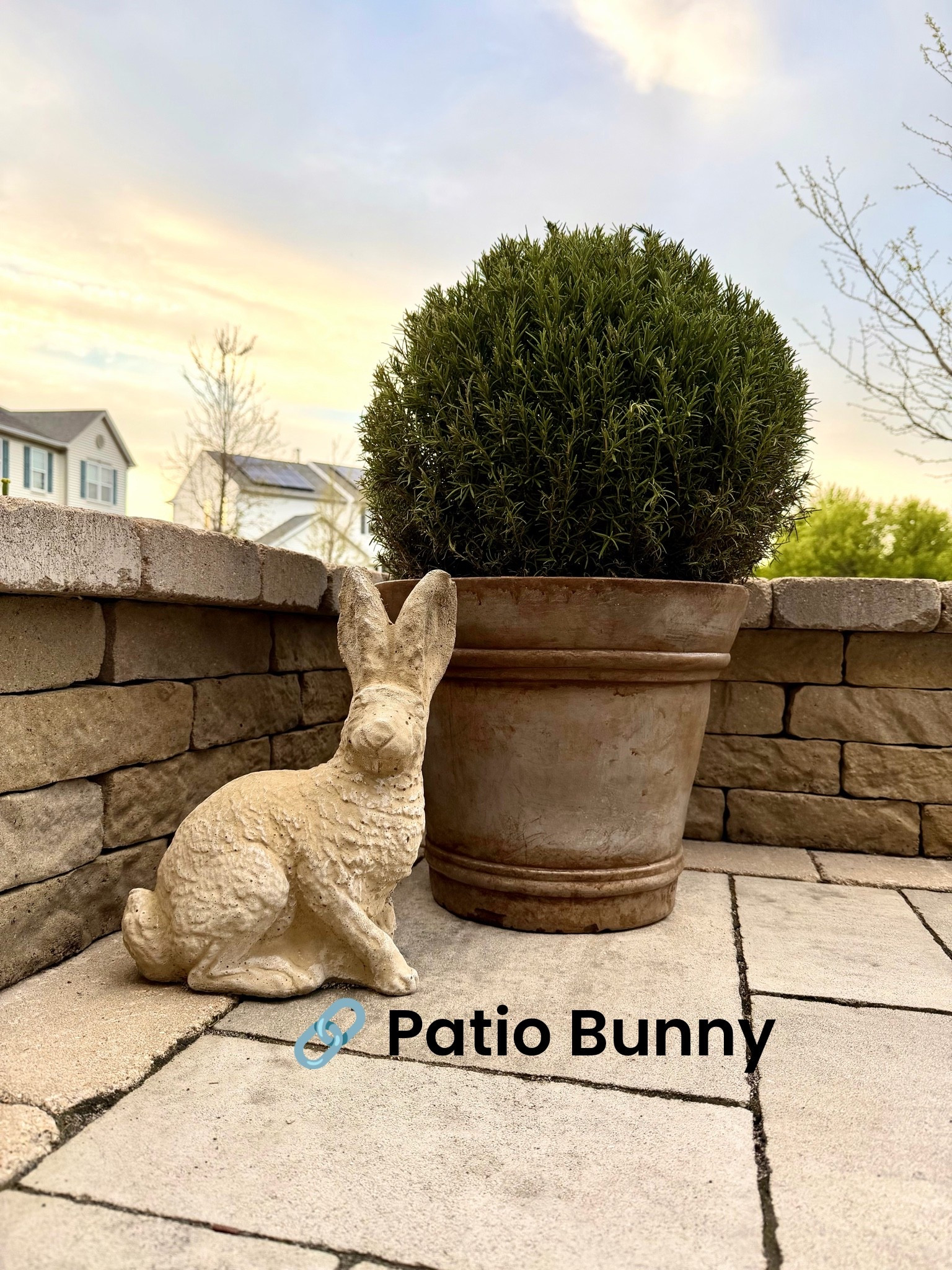 This is your sign that sometimes the tiny “unnecessary” decor pieces are actually the things that make a space feel layered, collected, and lived in. I love mixing old-world garden textures with simple greenery, especially against all the stone and neutral tones back here.

Now I fear I may become a concrete bunny person.

#LTKHome #LTKStyleTip #GardenDecor #OutdoorStyling #CottageGarden #MoodyHome #TraditionalHome #ConcreteDecor #BackyardInspo

#LTKSeasonal #LTKSaleAlert #LTKHome