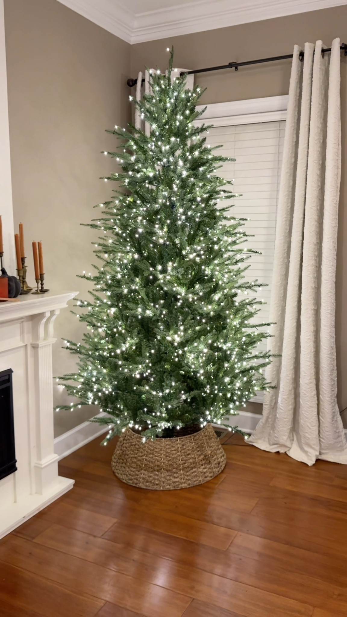 ✨ Most sizes are showing in stock for me right now! ✨ 

The Viral Grand Duchess Balsam Fir from Home Depot! Questions? I’m happy to help! 