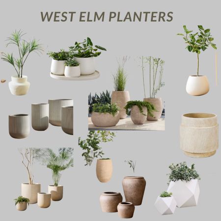 West elm planters home decor outdoor/indoor planters 

#LTKFind #LTKhome