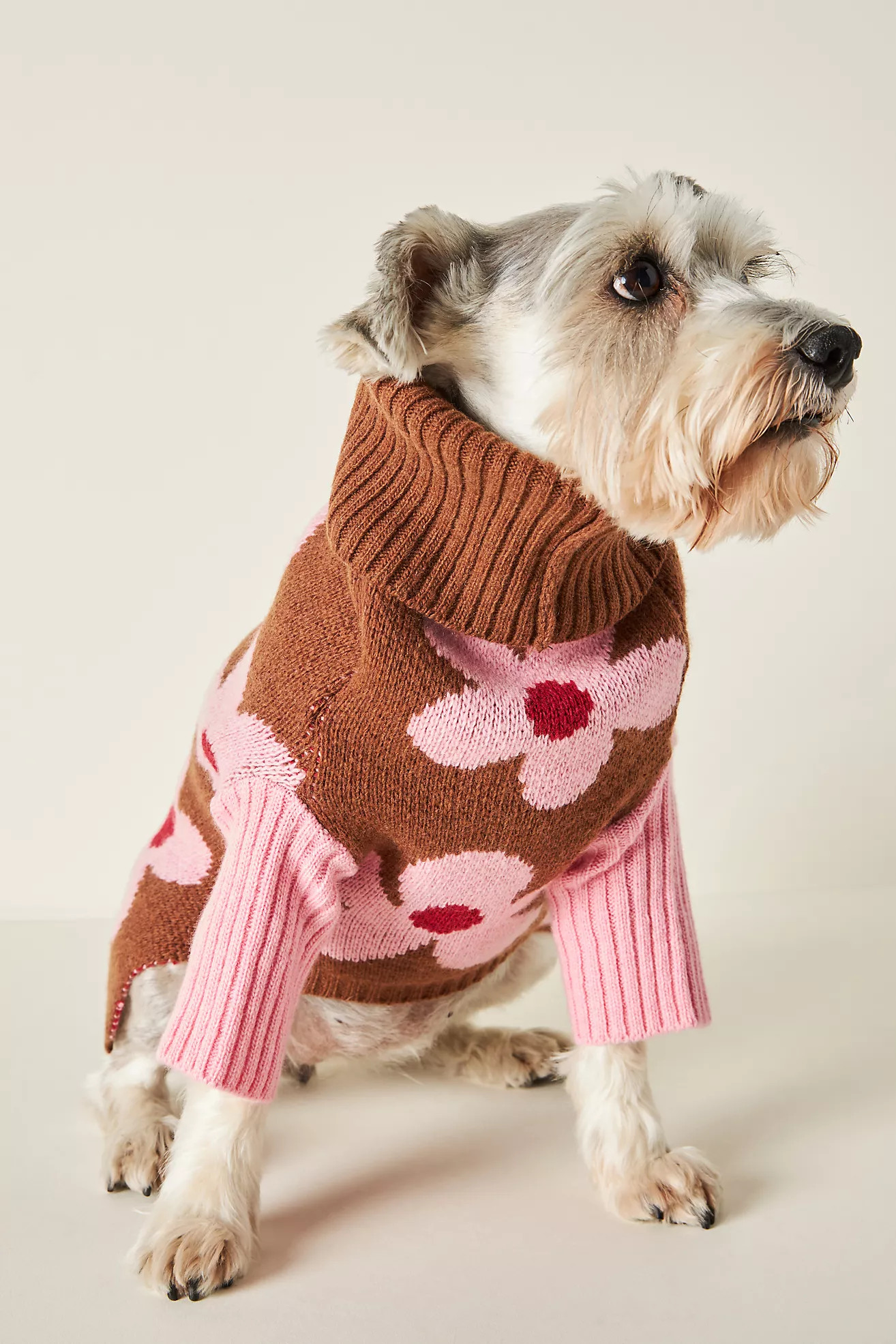 Little Beast Always Be Kind Dog Sweater | Anthropologie (US)