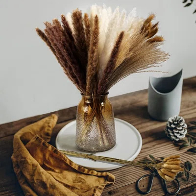 80PCS Dry Pampas Grass Bouquet Bohemian Reed Fluffy Grass Decorative Bouquet | Wayfair North America