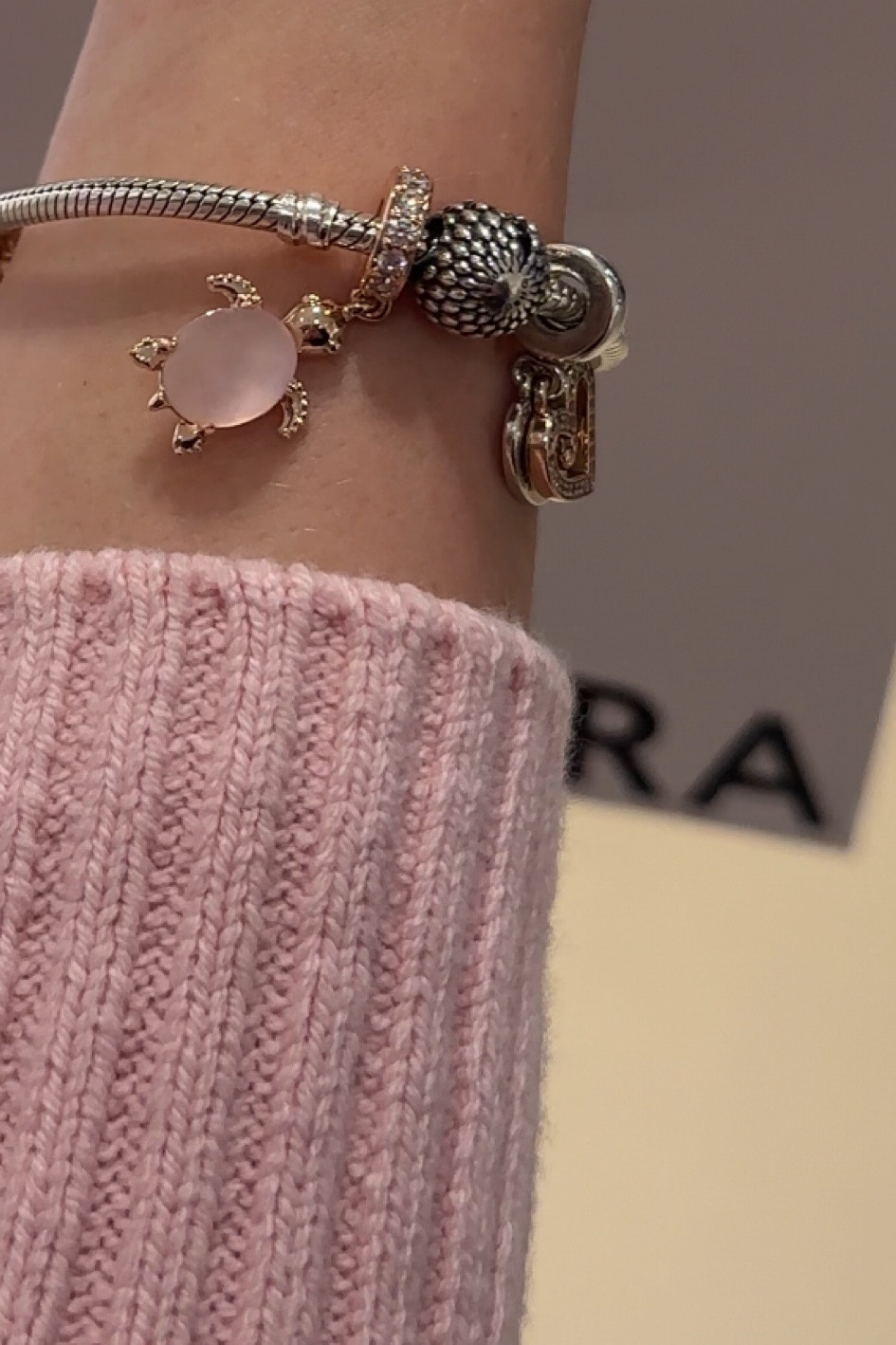 my newest pandora charm🥹

#LTKGiftGuide #LTKHoliday #LTKFindsUnder100