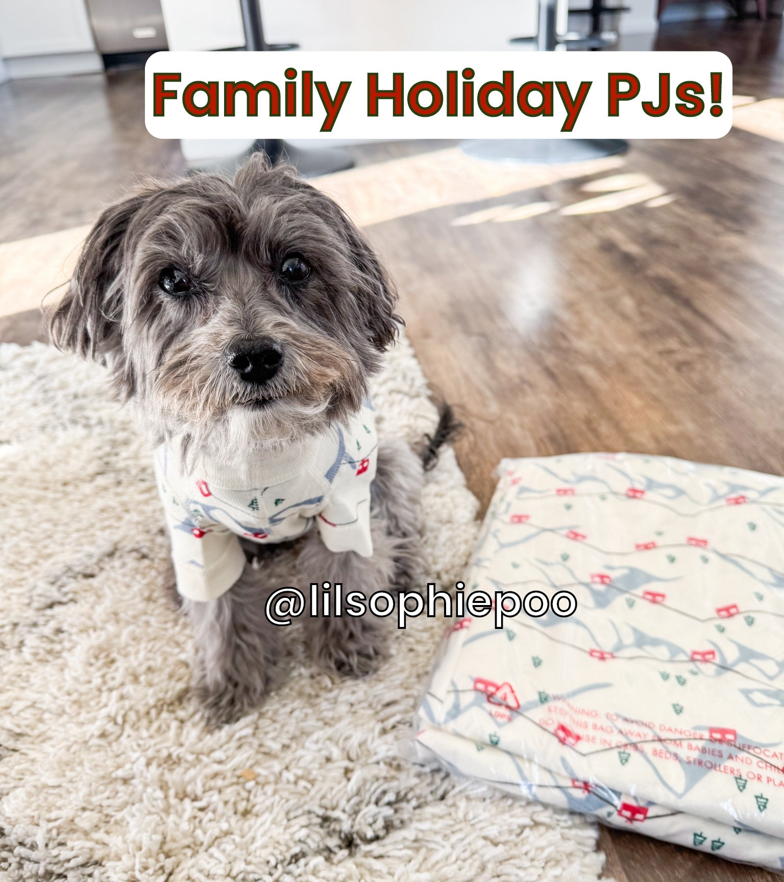 Matching Holiday PJs are a tradition every year, but every year I always put it off and things sell out - especially the matching dog outfits! 

This year I JUMPED at Hanna Andersson’s sale right away! We couldn’t resist this gondola print now that we live in and visit the Colorado Mountains all the time! 🚠 50% off EVERYTHING right now - RUN! Oh & we find their sizing true to their chart.

#LTKGiftGuide #LTKCyberWeek #LTKHoliday