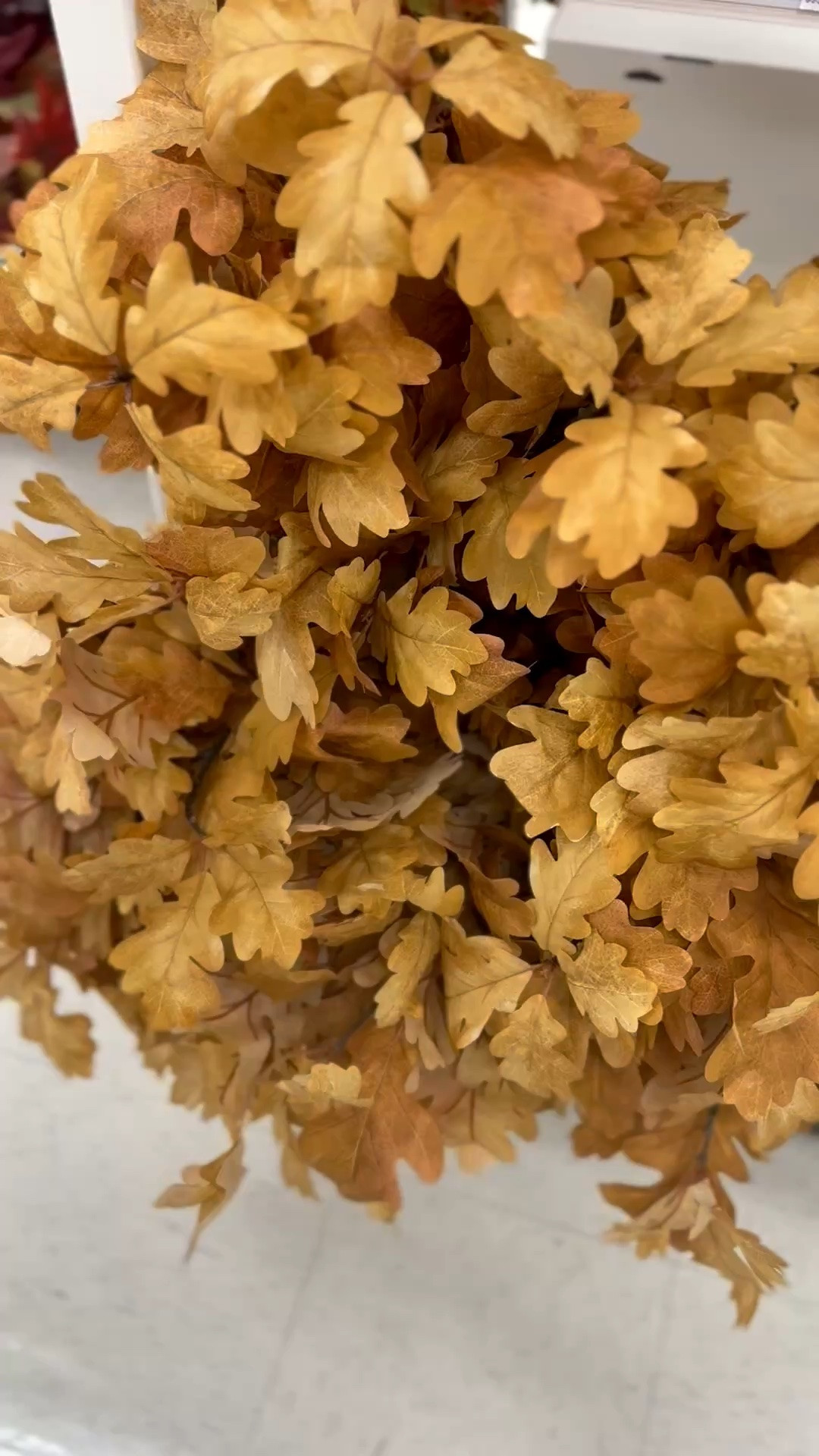 Pretty golden oak leaf stems. 😍