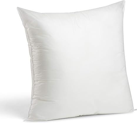 Foamily Premium Hypoallergenic Stuffer Pillow Insert Sham Square Form Polyester, 24" L X 24" W, S... | Amazon (US)