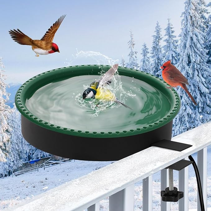 2 in 1 Heated Bird Bath for Outdoors for Winter,100W Bird Bath Heater with Thermostatically Contr... | Amazon (US)