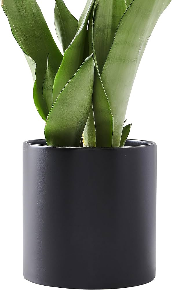 Plant Pots Planter Indoor - 8 Inch Modern Ceramic Pots for Plant Black Plant Pot with Drainage Ho... | Amazon (US)
