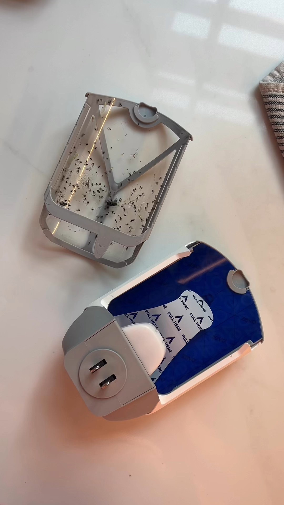 still amazes me every time! 🪰



#LTKFindsUnder50 #LTKHome