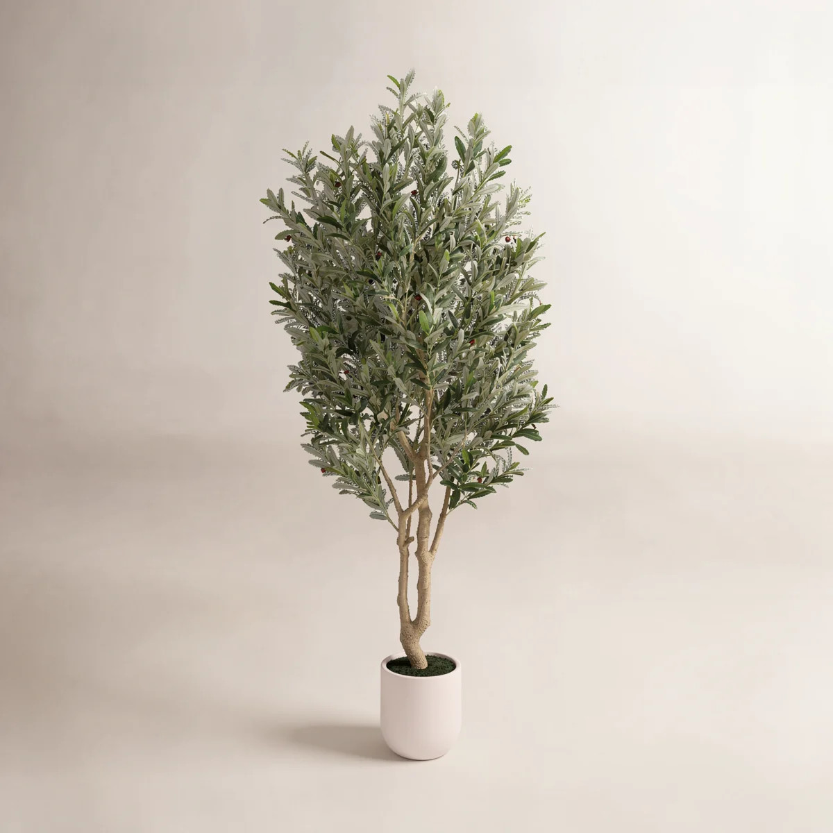Ashwell Artificial Olive Tree with White Pot | Wayfair North America