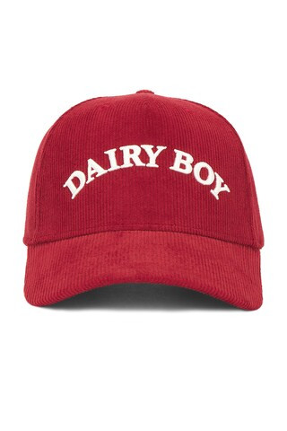 Dairy Boy Arch Corduroy Trucker Hat in Berry from Revolve.com | Revolve Clothing (Global)