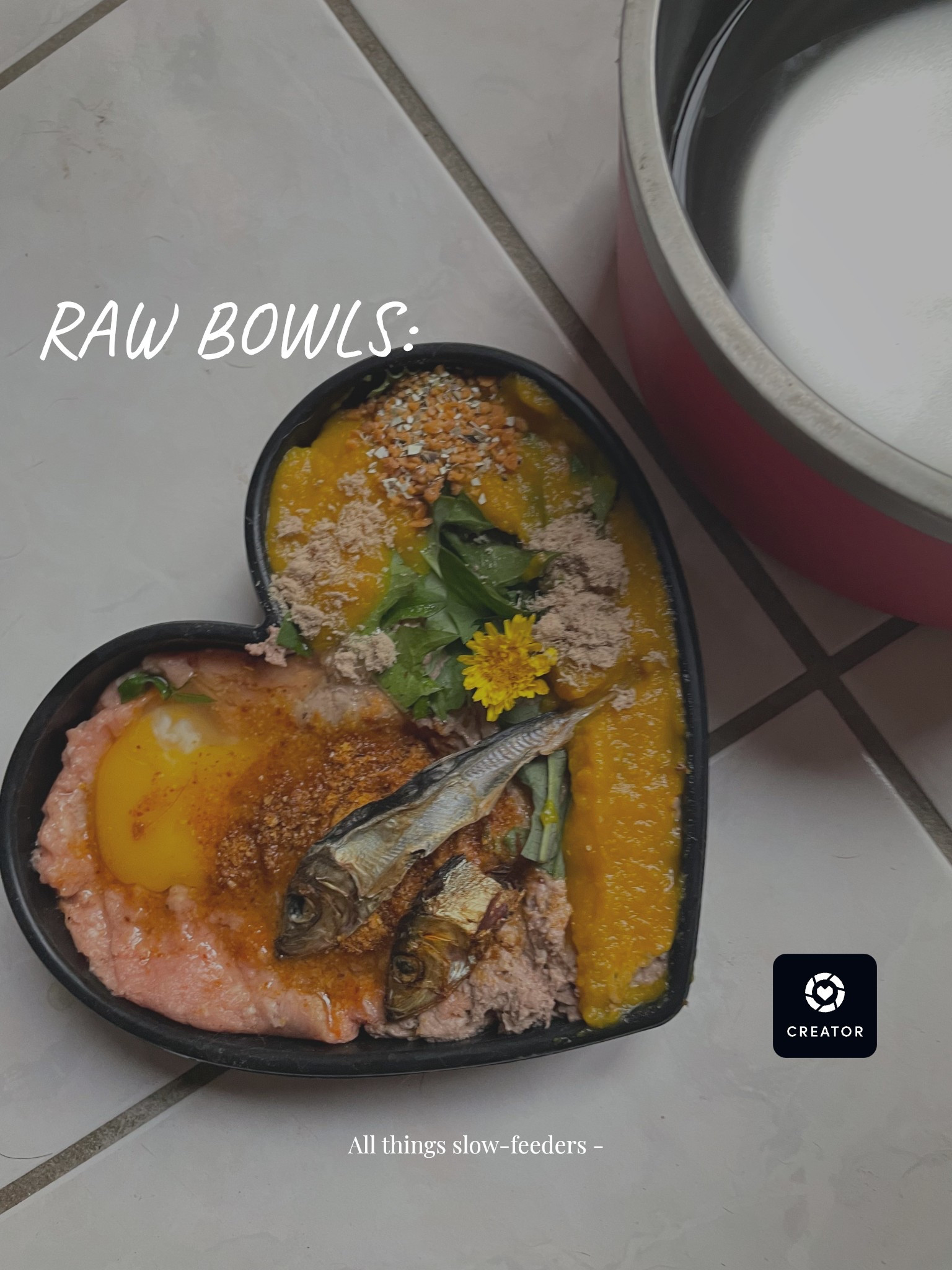 Slow feeders 🧩 .#LTKPets

#LTKfoodie #LTKActive #LTKSpringSale