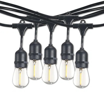 Kantrell 48-ft Outdoor 15 - Bulb Standard String Light (End to End Connectable) | Wayfair North America