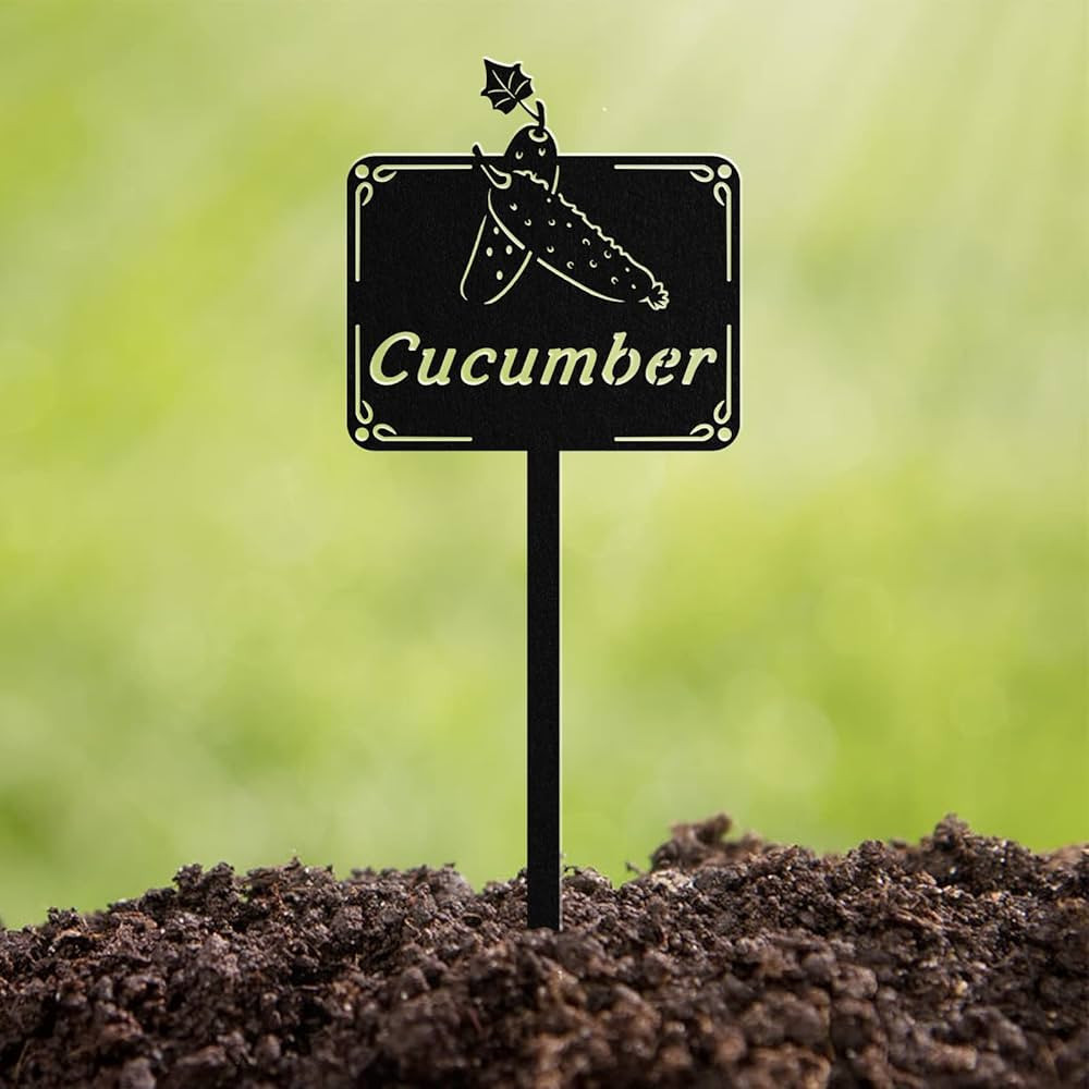 Jilsgs Metal Seed & Plant Labels - Plant Markes for Seedlings-Plant Tags for Pots - Garden Signs ... | Amazon (US)