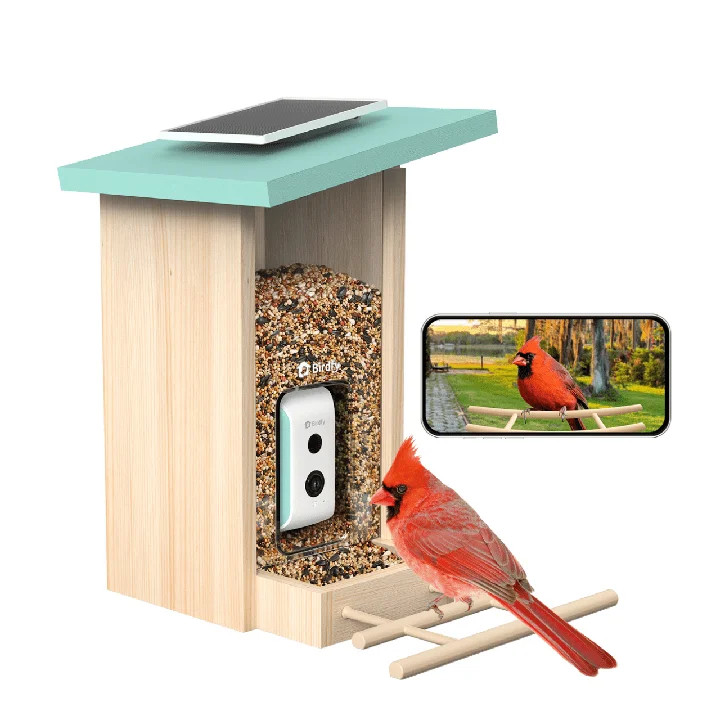 Birdfy Smart Bird Feeder with Camera, AI Identify 6000+ Species, Solar Powered,Eco-friendly Woode... | Walmart (US)