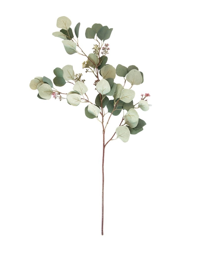 Faux Silver Dollar Eucalyptus Stem | McGee & Co.