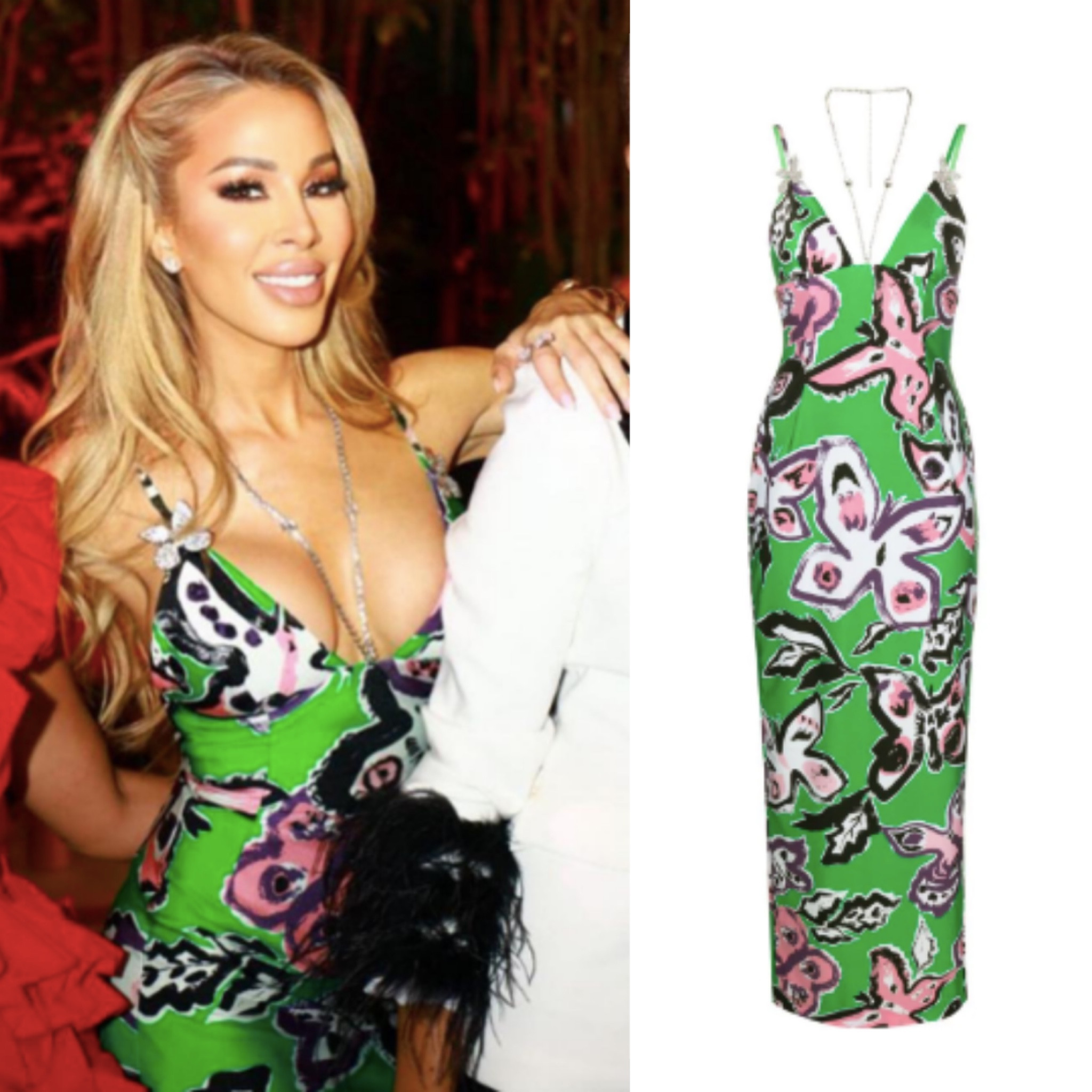 Lisa Hochstein’s Green Butterfly Print Dress 📸 = @guerdydesigns