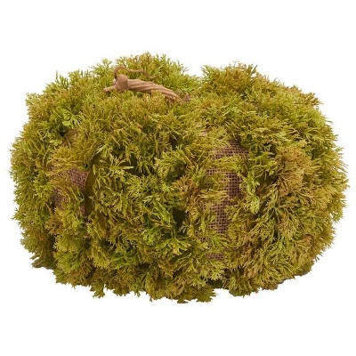 Faux 10" Moss Pumpkin - Green - Safavieh | Target