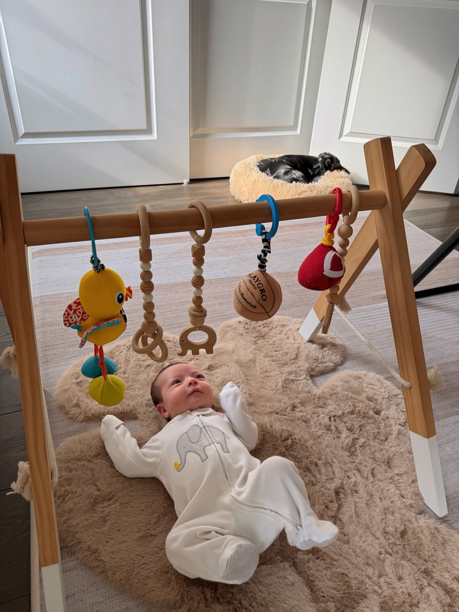 Size Newborn @ 6 Weeks Old

#LTKBaby #LTKKids #LTKdayinmylife