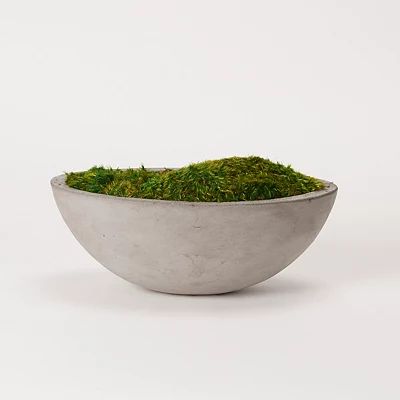 Preserved Mood Moss in Oval Concrete Bowl | Kirkland's Home