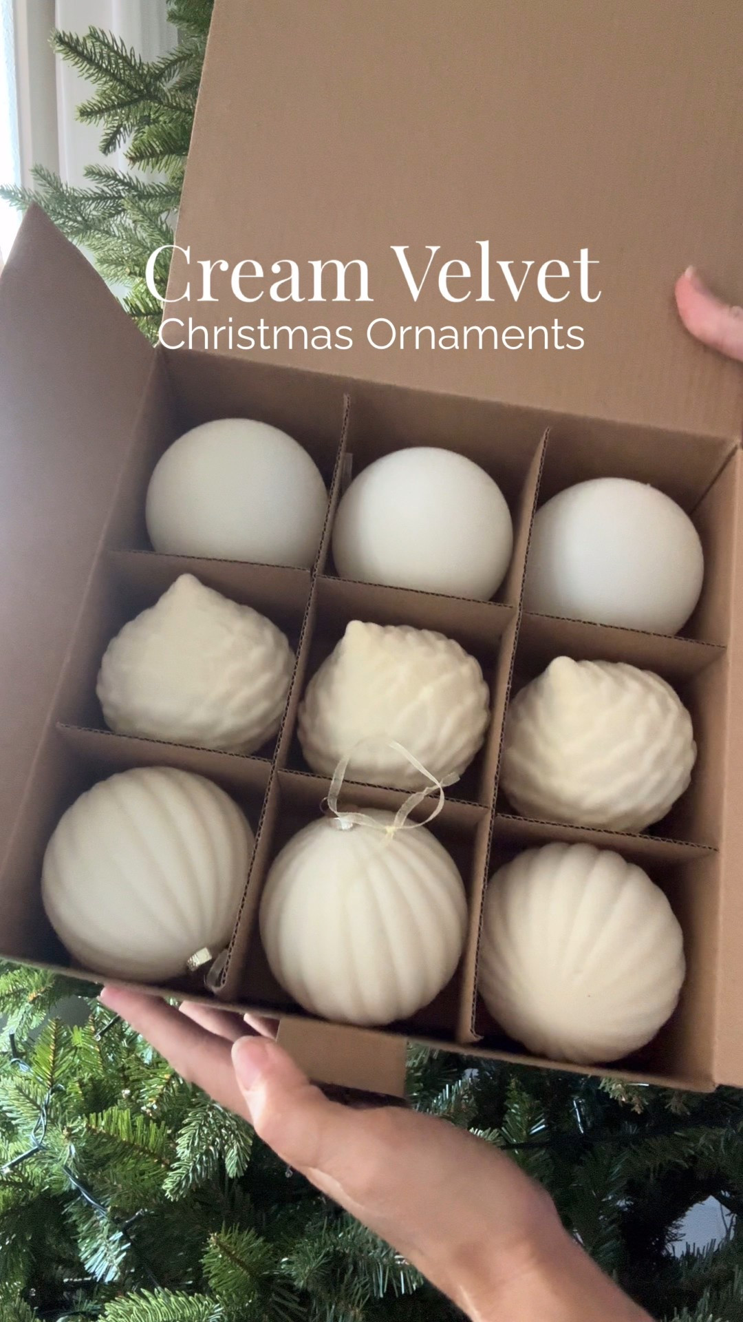 
✨ Limited time deal: just $24.99! Holiday decorating just got effortless. 🎄✨



Cozy, chic, and totally festive! 🤍 This 25-piece set of cream velvet Christmas ornaments—9 large (3.15”) & 16 small (2.36”)—is shatterproof and so easy to hang.

The neutral cream shade pairs with any tree theme, while the velvet adds that perfect touch of elegance. 🌟 Safe for little hands, ready to gift, and perfect for your tree, garlands, wreaths, or mantel.

#VelvetOrnaments #ChristmasDecor #ShatterproofOrnaments #HolidayDecor #ChristmasTreeDecor


#LTKSeasonal #LTKHoliday #LTKSaleAlert