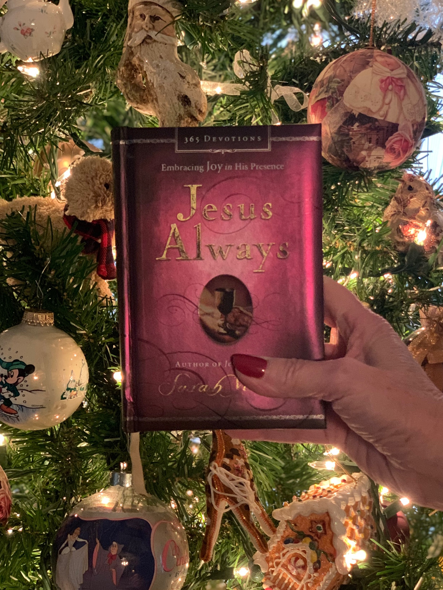 This is one of my favorite daily
devotionals📖 Perfect for starting a the New Year.
And they make great gifts 🎁
I've linked this devotional book and a few of my other favorites!
Follow me for more Inspiration❤️
#Itkit

#LTKGiftGuide #LTKfindsunder50