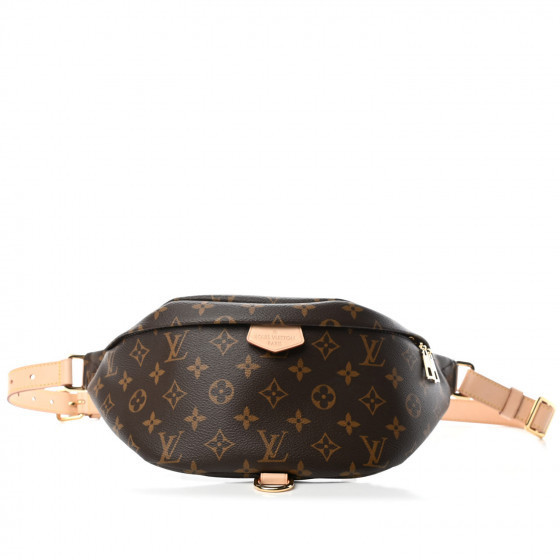 LOUIS VUITTON Monogram Bumbag | Fashionphile