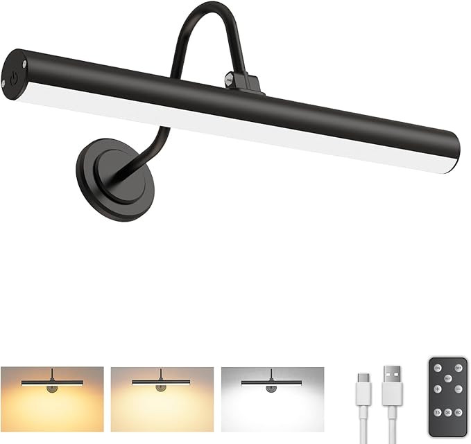 Bridika Picture Light Battery Operated, Wireless Picture Light with Remote, 3 Color Modes and Dim... | Amazon (US)