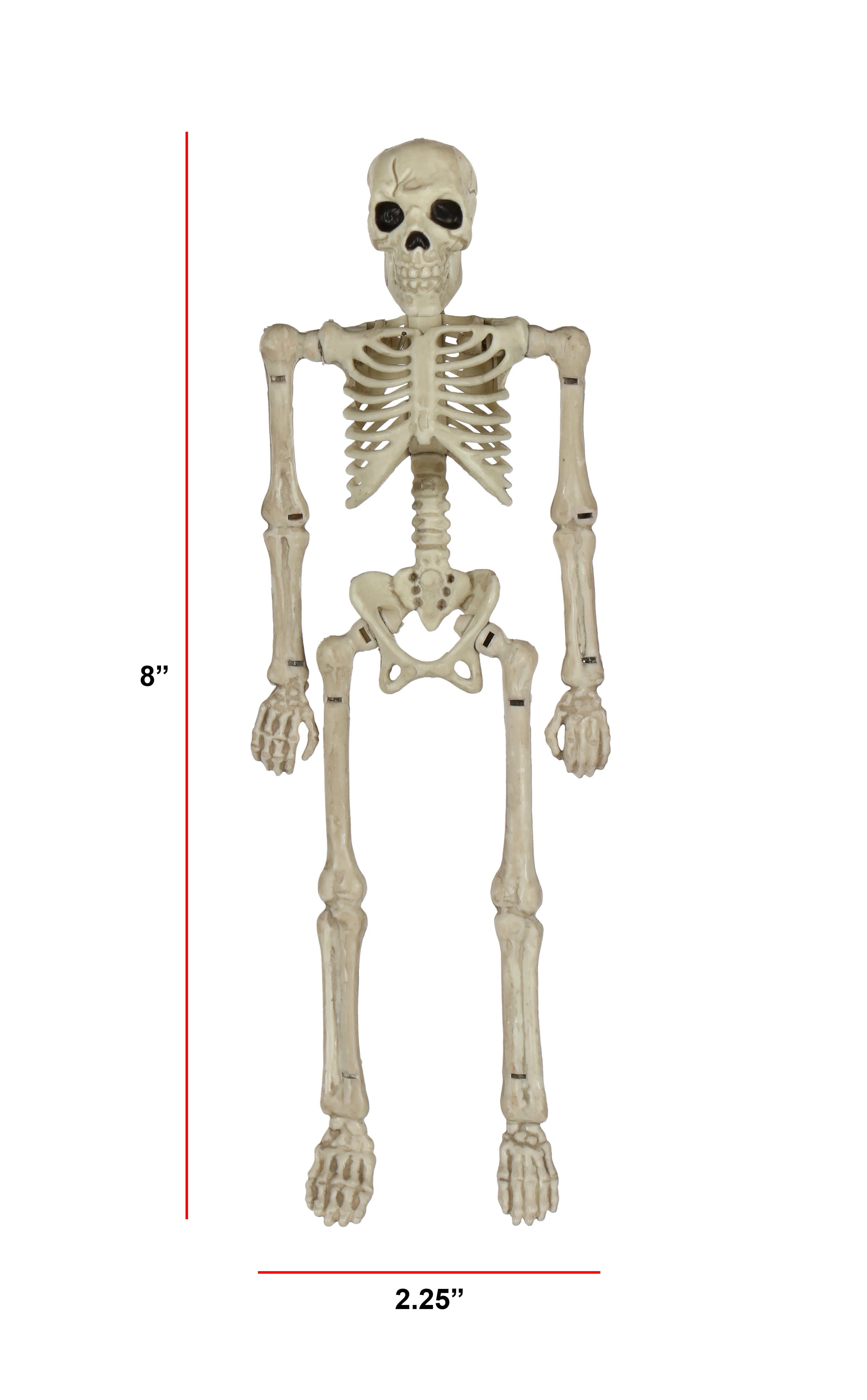 Halloween Faux Skeleton Decoration, 8 in, by Way To Celebrate | Walmart (US)