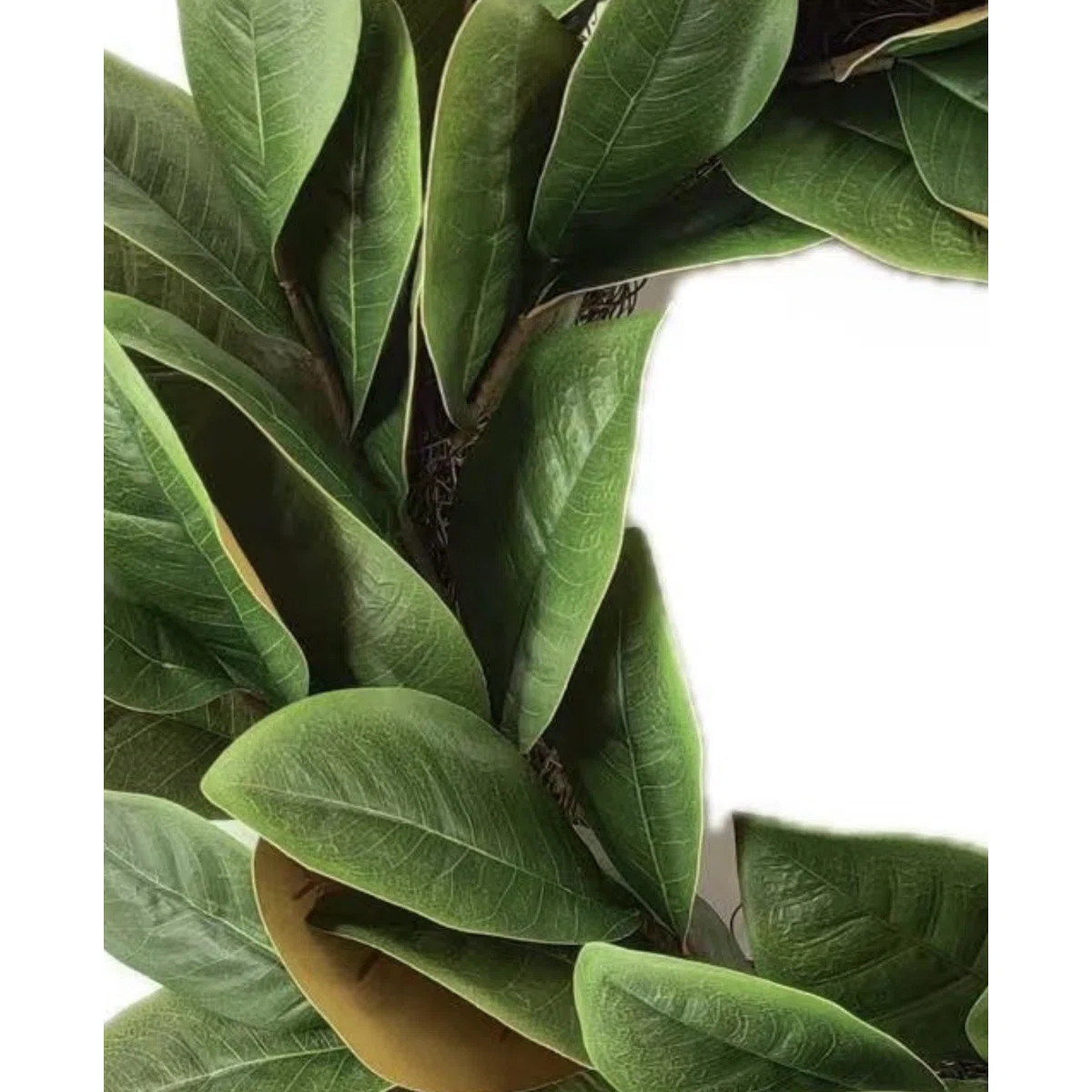 20" Artificial Farmhouse Blossom Cluster Greenery Magnolia Leaves Everyday Front Door Wreath | Wayfair North America