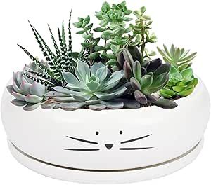 Koolkatkoo 8 Inch Large Cute Cat Ceramic Succulent Planter Pots with Removable Saucer Unique Porc... | Amazon (US)