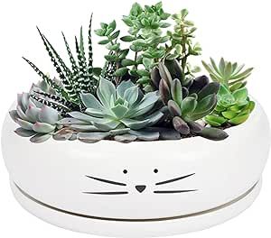 Koolkatkoo 8 Inch Large Cute Cat Ceramic Succulent Planter Pots with Removable Saucer Unique Porc... | Amazon (US)