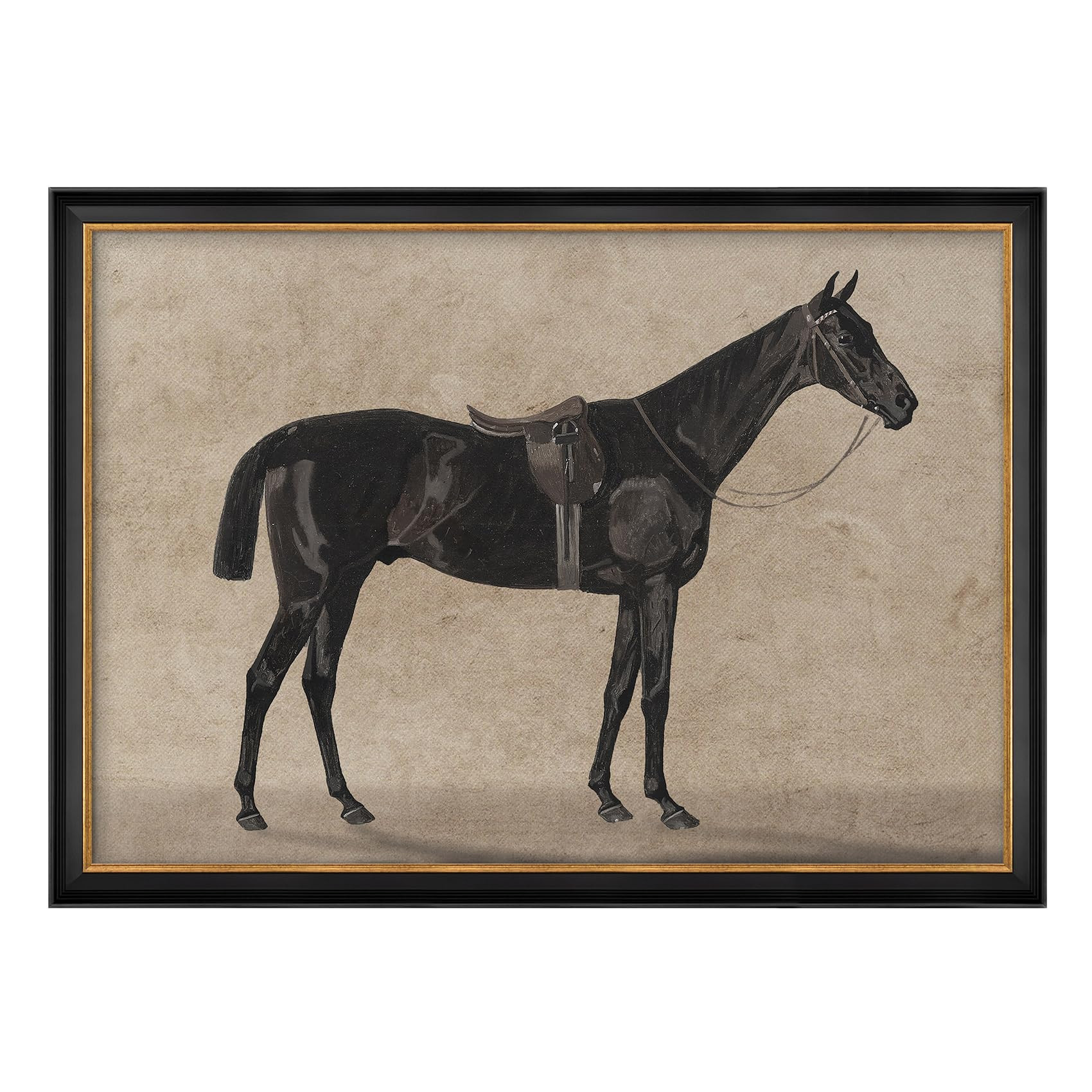 MUDECOR Premium Framed Wall Art Vintage Black Horse Classic Framed Equestrian Illustrations Impre... | Amazon (US)