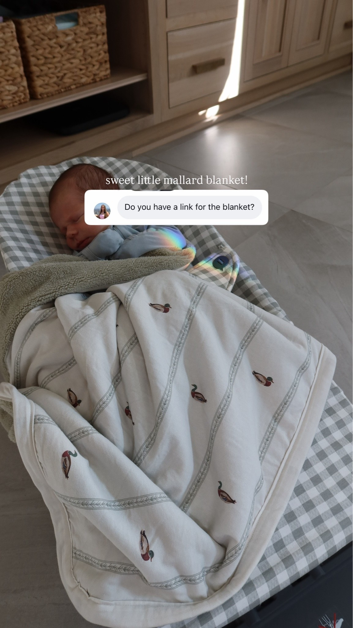 Mallard blanket linked! The other side is a super soft fleece-like fabric 🙌🏻 Also linking this lounger + the cover is from Mini Coton.