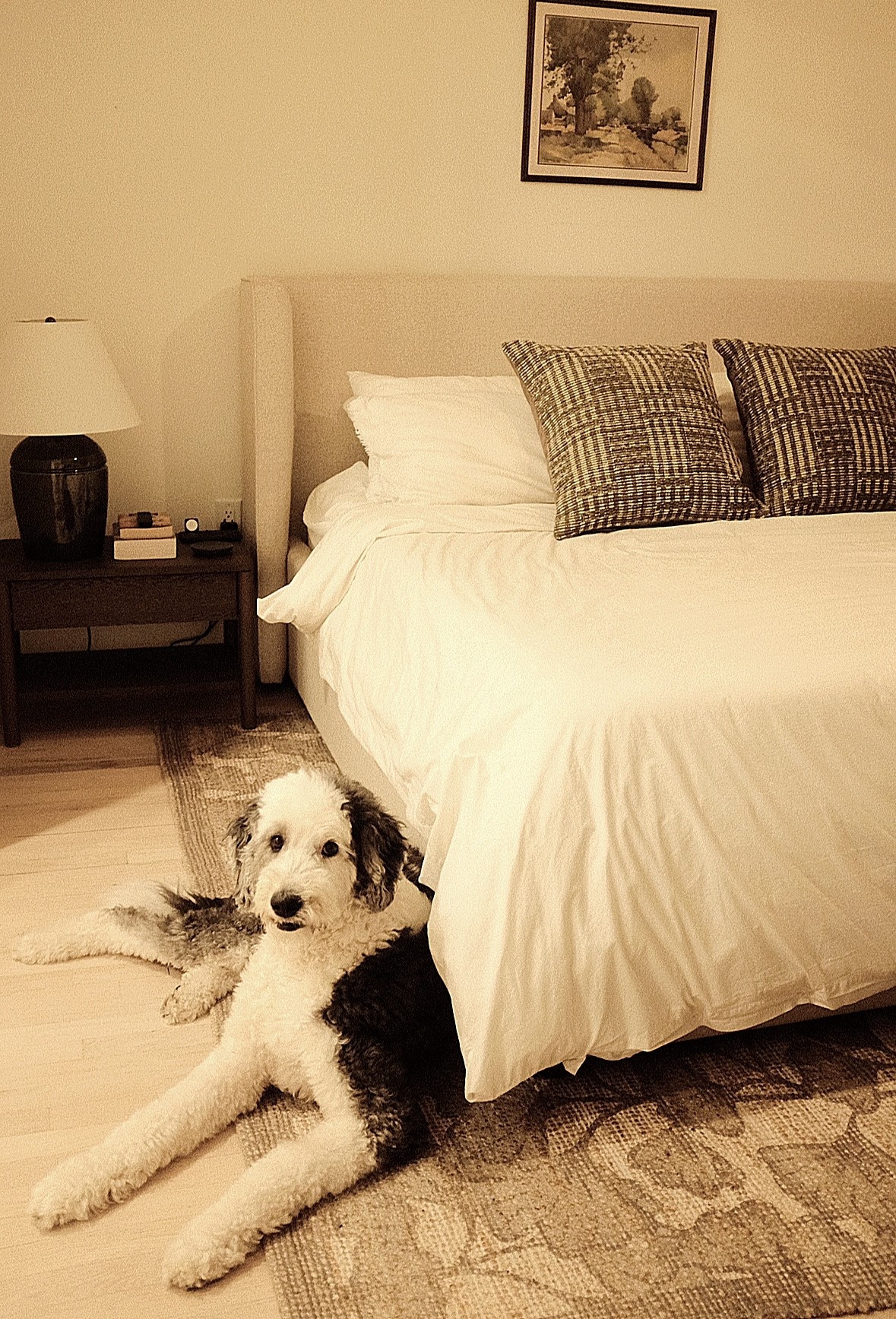 Our bedroom got a fall refresh with the new #cljxLoloi collection 
Chris Loves Julia never misses!!!

@loloi @chrislovesjulia

#LTKHome #LTKFallSale #LTKSeasonal