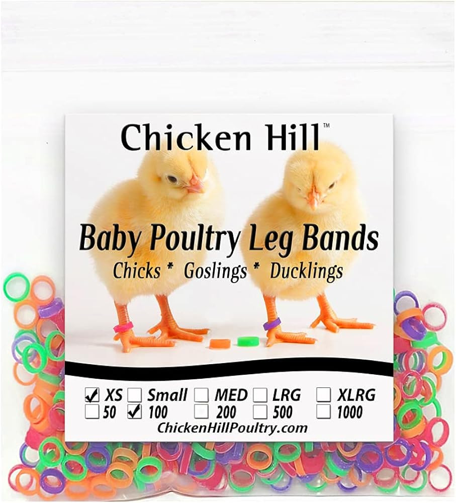 Chicken Hill Baby Poultry Leg Bands Size 2 - XSmall Day Old Quail | Amazon (US)