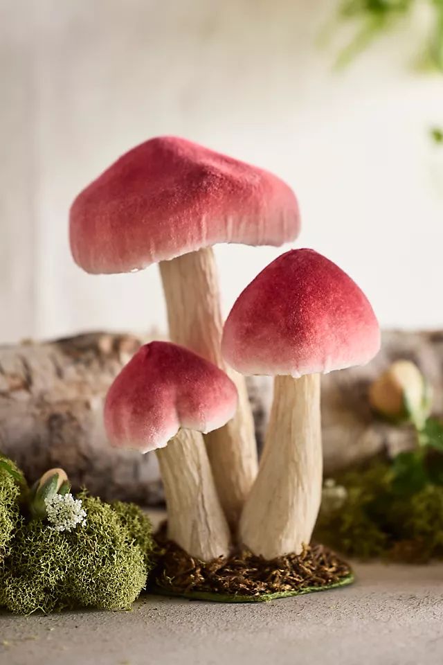 Velvet Mushroom Trio, Small | Terrain