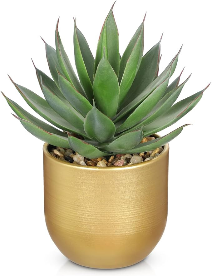 Succulents Plants Artificial for Home Decor, Realistic Potted Fake Agave Plant, Cute Aloe Maguey ... | Amazon (CA)