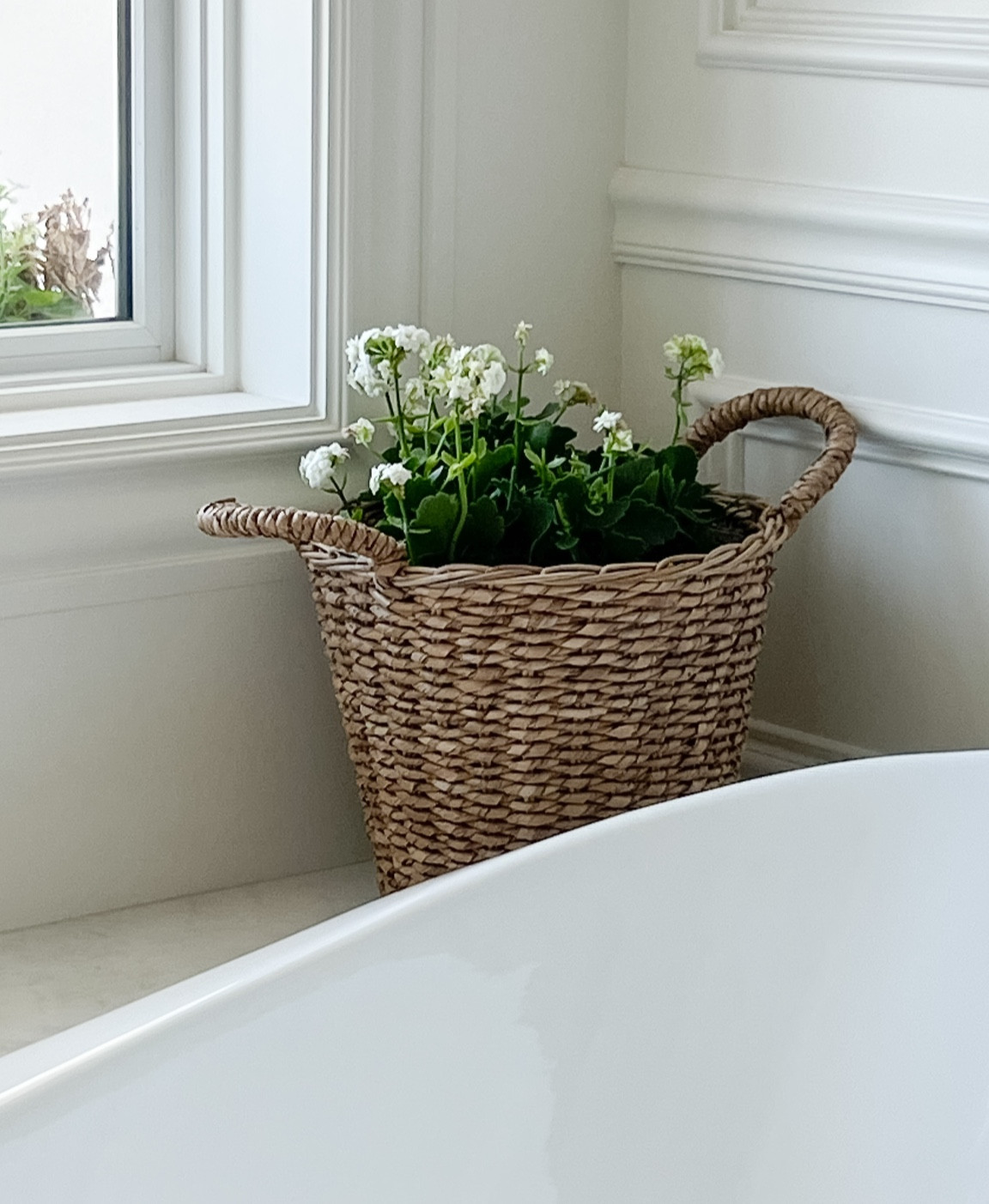 This lined seagrass planter is my favorite new purchase for under $20!  

#LTKfamily #LTKhome