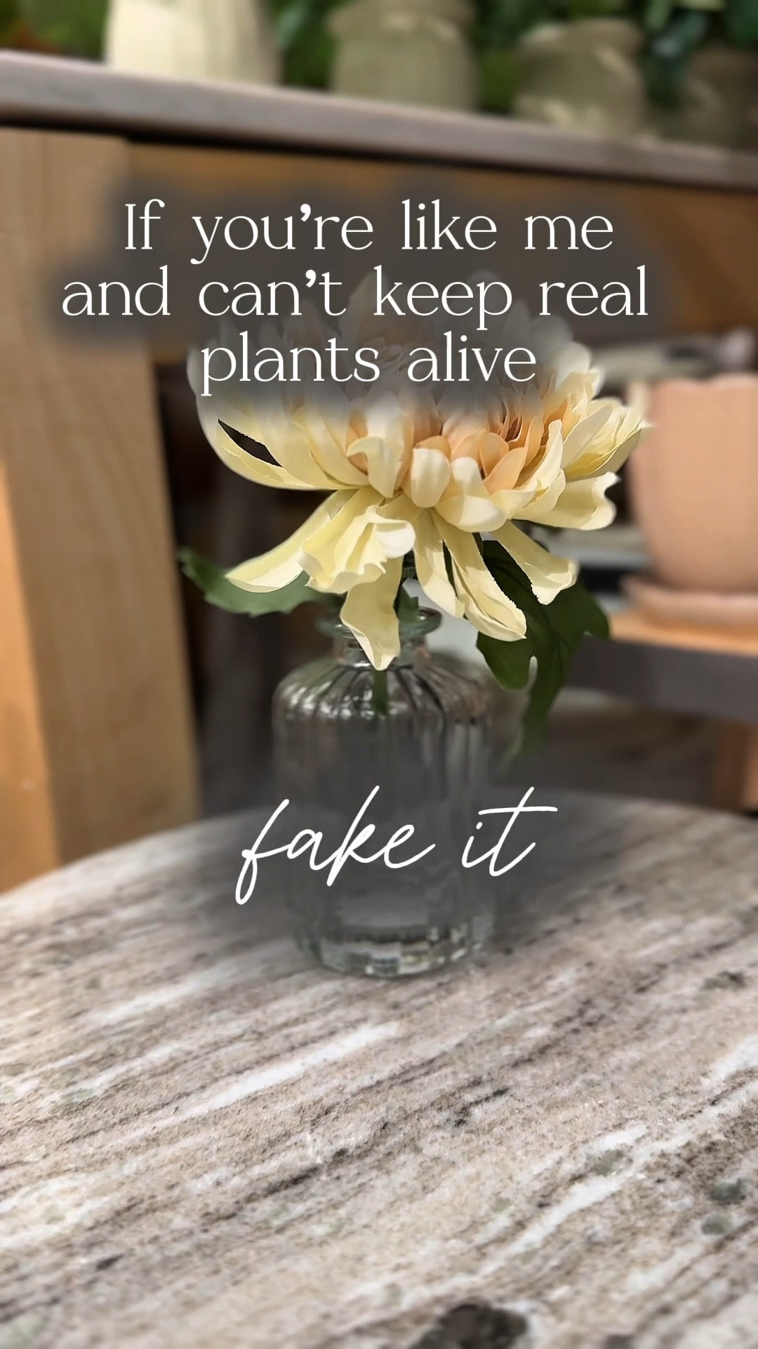 If you’ve ever accidentally killed a houseplant, this post is for you! Target’s faux plants and flowers are the ultimate low-maintenance home decor—no watering, no wilting, just gorgeous greenery that looks just like the real thing. Best part? They’re all under $7! 

#HomeDecorLover #ArtificialPlants #BudgetFriendlyDecor

Faux plants, artificial plants, fake plants, realistic fake plants, lifelike artificial plants, best faux plants, low-maintenance plants, no-water plants, indoor artificial plants, realistic faux greenery, budget-friendly fake plants, affordable artificial plants, Target faux plants, Target artificial plants, small artificial plants,

#LTKFindsUnder50 #LTKHome
